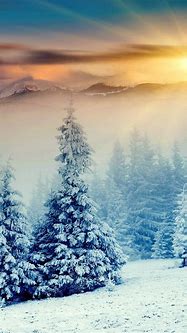 Image result for Winter Phone Background
