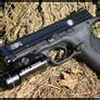 Image result for Smith and Wesson MP 30 40 Cal