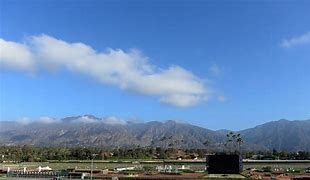 Image result for Houston Breeders' Cup