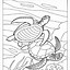 Image result for Pura Vida Coloring Pages