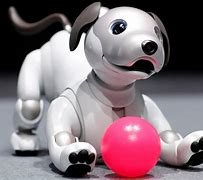 Image result for Sony Aibo Robot Dog Baby