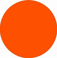 Image result for Orange Circle Pin