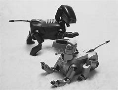 Image result for Plex & Robot Aibo Dog