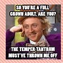Image result for Throwing a Tantrum Meme