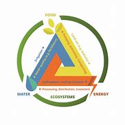 Image result for Water Energy Food Traingle