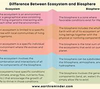 Image result for Difference Between What and Which