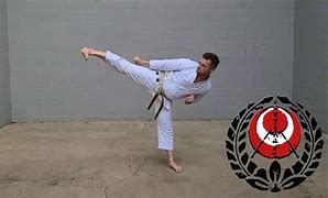 Image result for 10 Most Effective Martial Arts