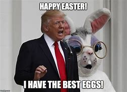 Image result for Easter Cat Meme