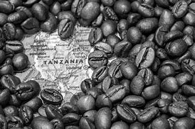 Image result for Tanzania Coffee Beans