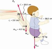 Image result for 81 Centimeters to Feet