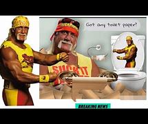 Image result for Hulk Hogan Sweating Porta Potty Meme