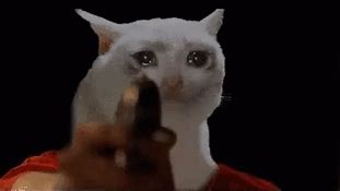 Image result for Crying Cat Gun Meme