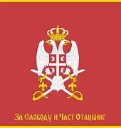 Image result for Alternative Serbian Flag