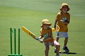 Image result for Kwik Cricket for Kids