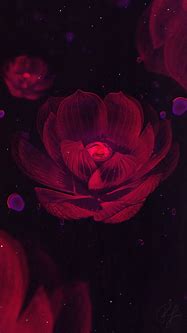 Image result for Dark Floral iPhone Wallpaper