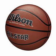 Image result for The Basketball Called Wilson