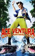 Image result for Ace Ventura Background