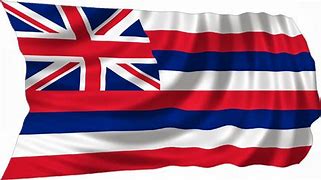 Image result for Hawaii Flag