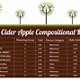Image result for Apple Tree Size Chart