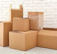 Image result for Womon Inside a Shipping Box