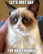 Image result for Cat That's Had Enough Meme