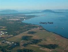 Image result for Cherry Point Coastal White