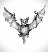 Image result for Bat Tattoo Drawings Pages