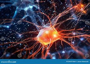 Image result for Human Brain Neurons Firing