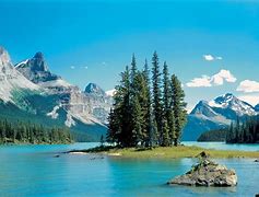 Image result for alpendee