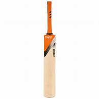 Image result for DS Icon Cricket Bat