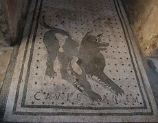Image result for Cave Canem Pompeii