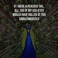 Image result for Peacock with Eyebrow Meme