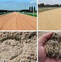 Image result for Polytrack Surface