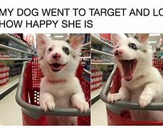 Image result for Target Dog Meme