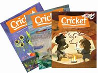 Image result for Cricket Magazine Inner Pages