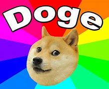 Image result for Doge Meme Now