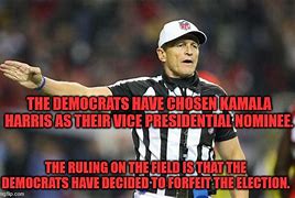 Image result for Referee Falacy Meme
