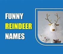 Image result for funny reindeers name