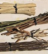 Image result for A Bundle of Sticks