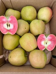Image result for Green Apple Fruit