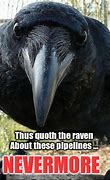 Image result for Feeding Ravens Meme