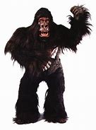 Image result for Simian Gorilla