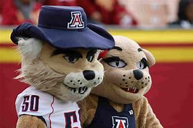 Image result for Arizona Mascot