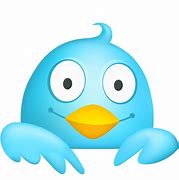 Image result for Cute Twitter Icon