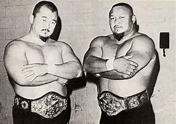 Image result for 70s Wrestling Stars