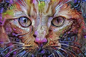 Image result for Profile Pictures Galaxy Cat Art