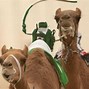 Image result for Camel Jockey
