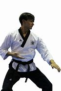 Image result for Taekwondo Poomsae