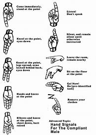Image result for Iroquois Hand Signals