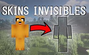 Image result for Invisible MC Skin